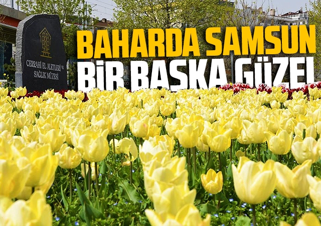 Baharda Samsun bir başka güzel