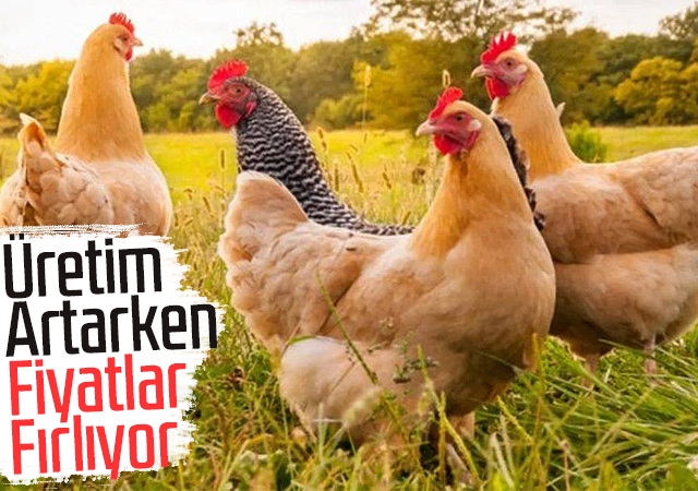 Beyaz etteki zamlar kırmızı eti solladı