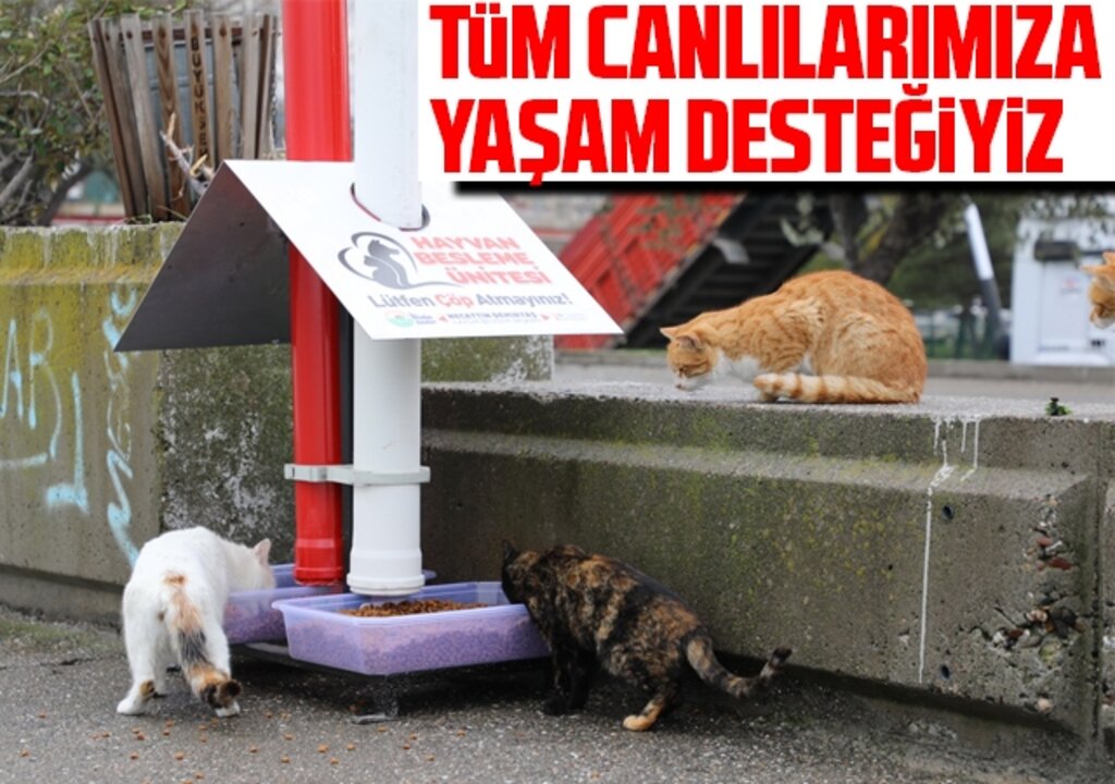 Can Dostları İçin Beslenme Ünitesi Üretimine Başladı