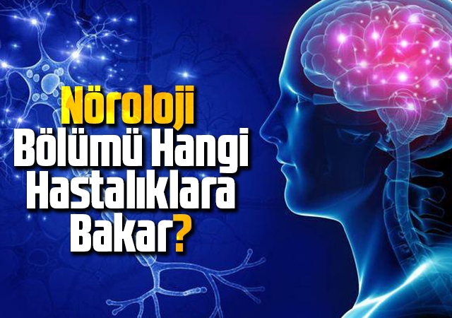 Nöroloji Bölümü Hangi Hastalıklara Bakar?