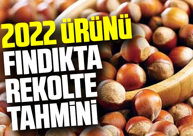 2022 ürünü fındıkta rekolte tahmini