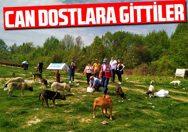 Can Dostlara Gittiler