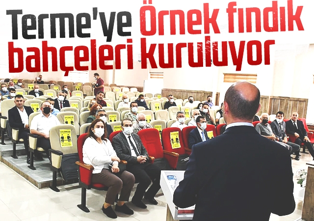 Terme'ye Örnek fındık bahçeleri kuruluyor