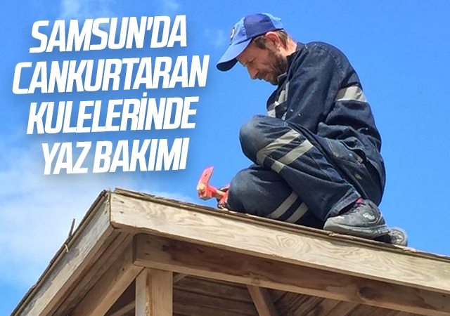 Samsun'da Cankurtaran kulelerinde yaz bakımı