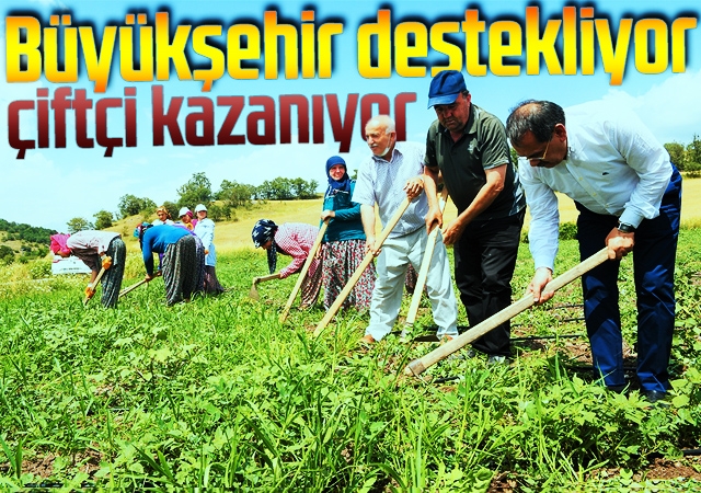 Büyükşehir destekliyor, çiftçi kazanıyor