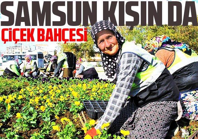 Samsun kışın da çiçek bahçesi