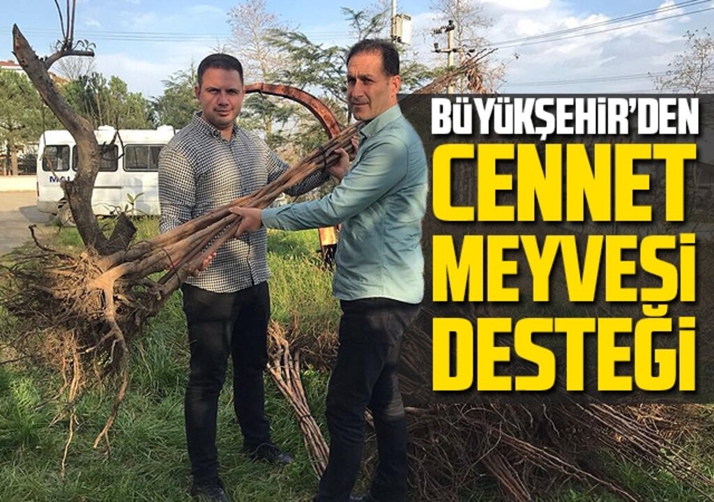Büyükşehir’den cennet meyvesi desteği