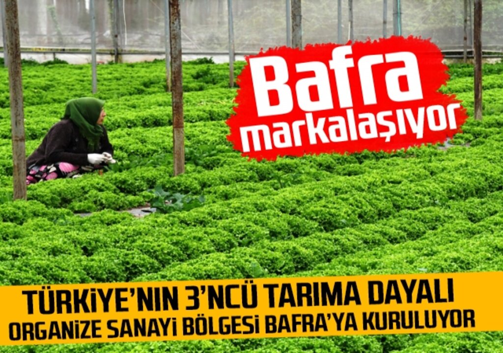 Bafra markalaşıyor