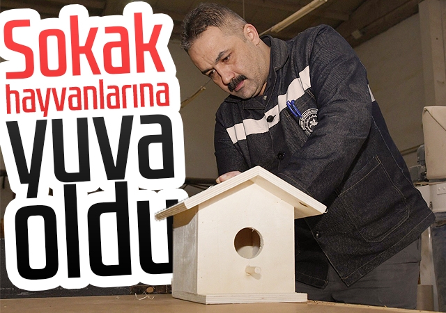 Sokak hayvanlarına yuva oldu