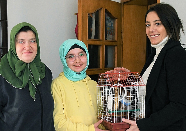 Belediyeden ‘Muhabbet Kuşu’ istedi