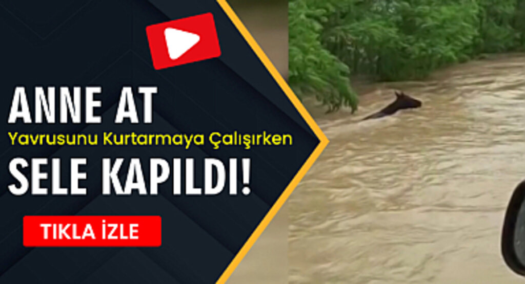 Anne At Yavrusunu Kurtarmaya Çalışırken Sele Kapıldı
