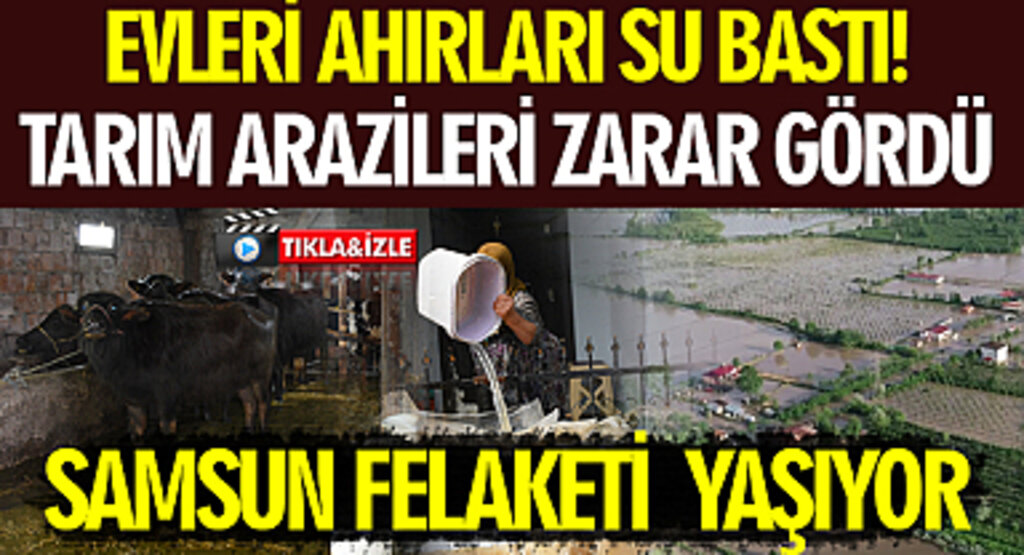 Evleri Ahırları Su Bastı! Tarım Arazileri Zarar Gördü