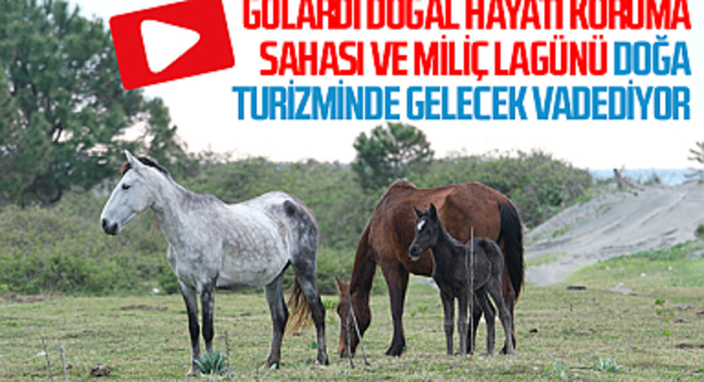 Gölardı Doğal Hayatı Koruma Sahası ve Miliç Lagünü doğa turizminde gelecek vadediyor